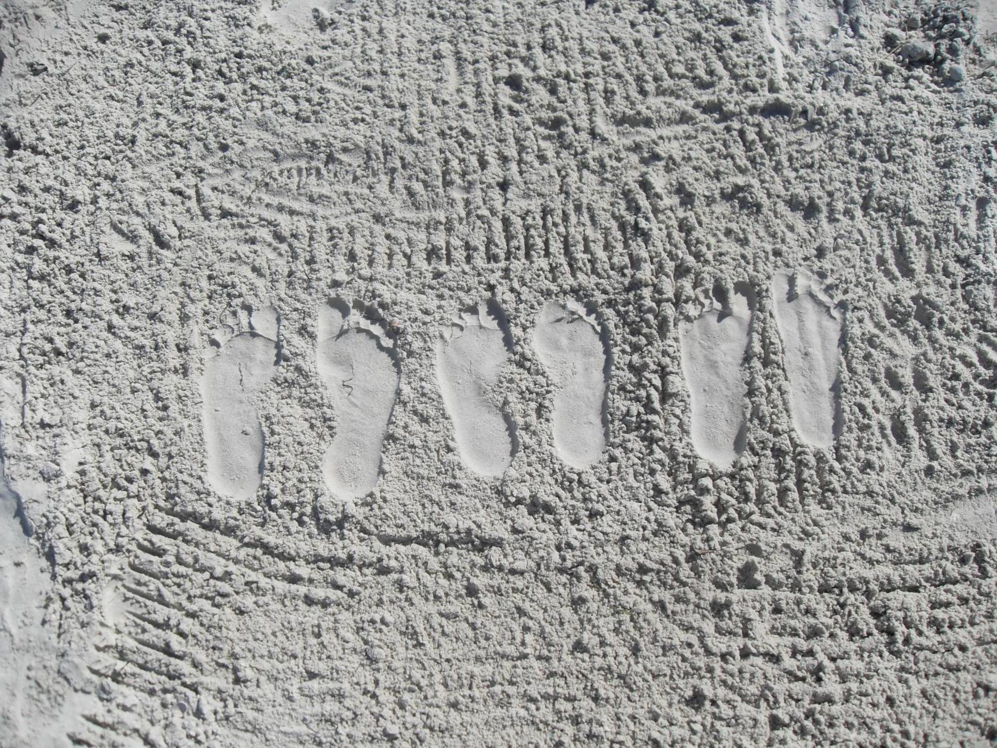 Wander Inn Rangiputa Exteriér fotografie